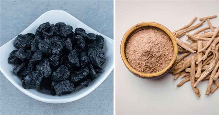 Shilajit vs Ashwagandha: Which Herbal Supplement Is Better for You?