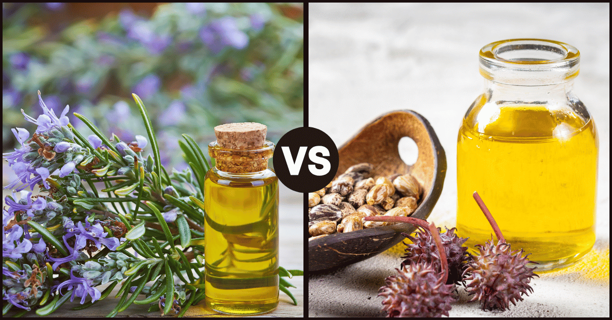 Rosemary Oil vs Castor Oil: Which Is Better for Your Hair?