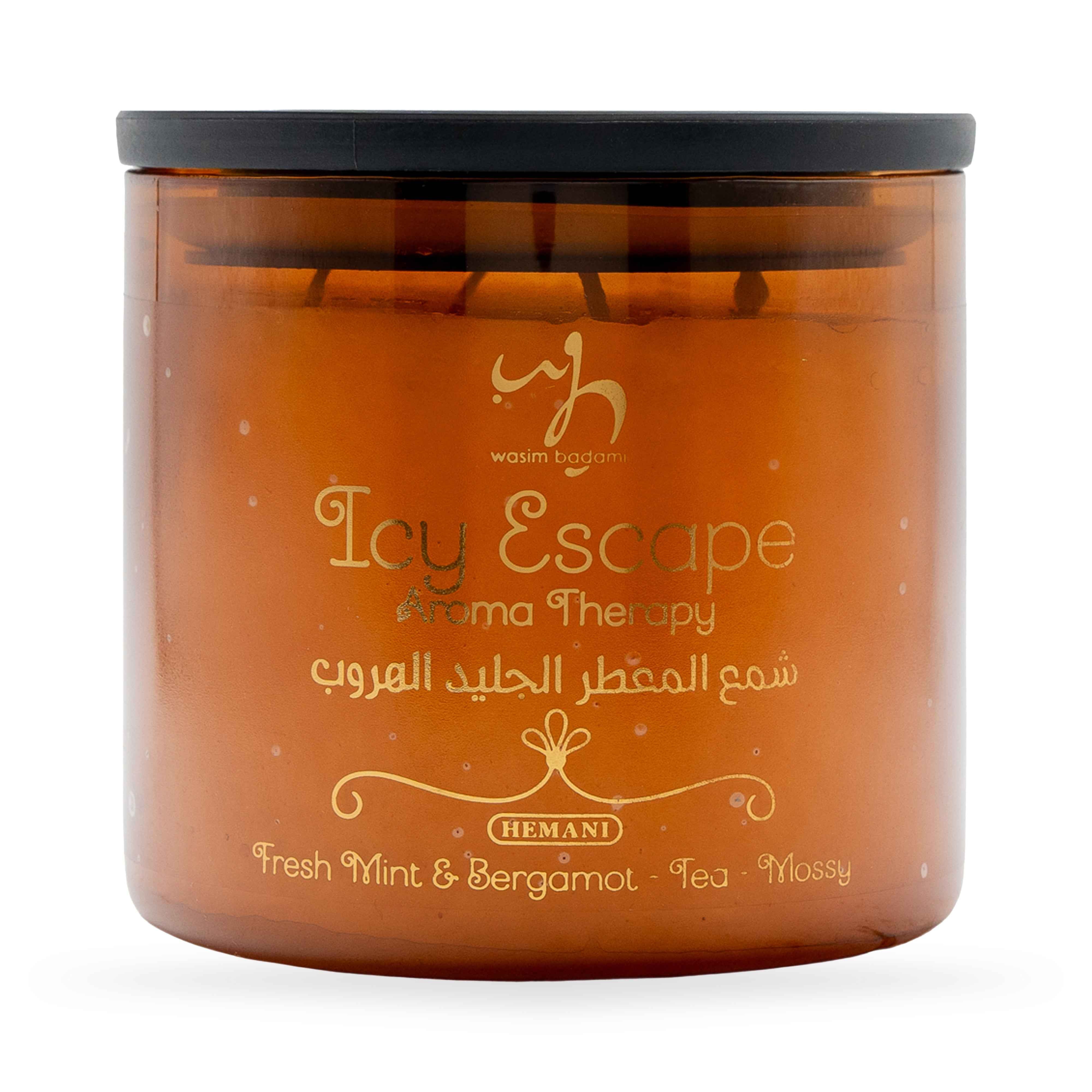 Aromatherapy Candle - Icy Escape