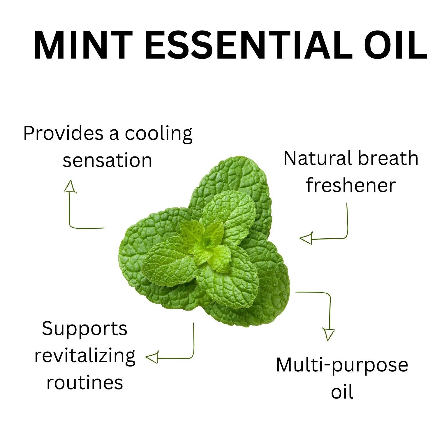 Essential Oil 10ml - Mint