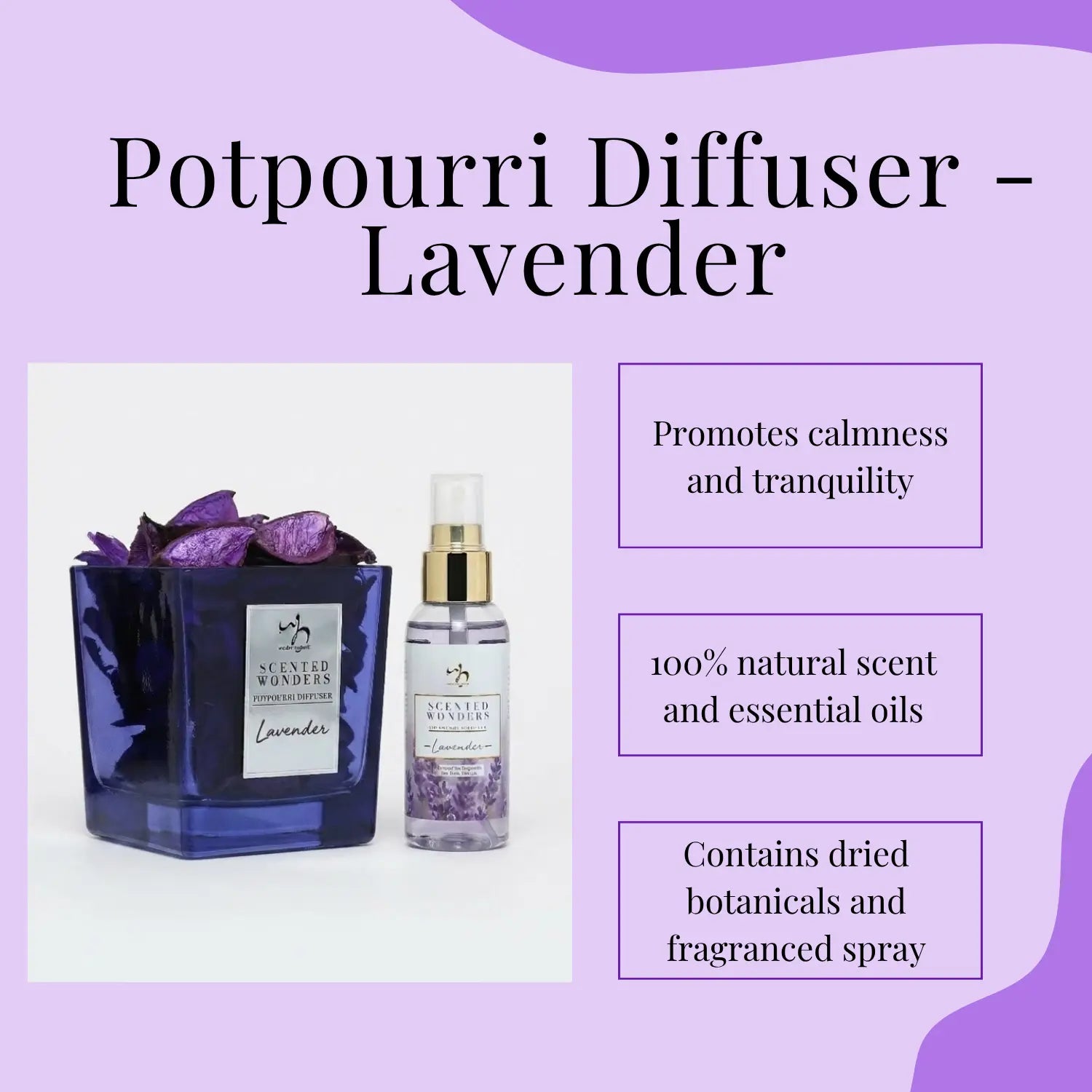 Scented Wonders Potpourri Diffuser - Lavender