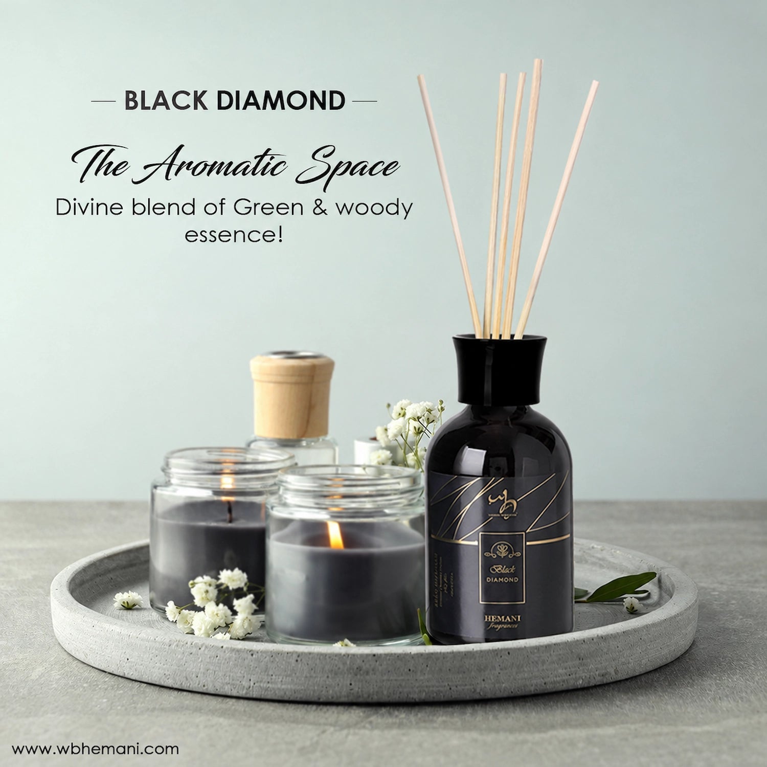 WB Reed Diffuser - Black Diamond