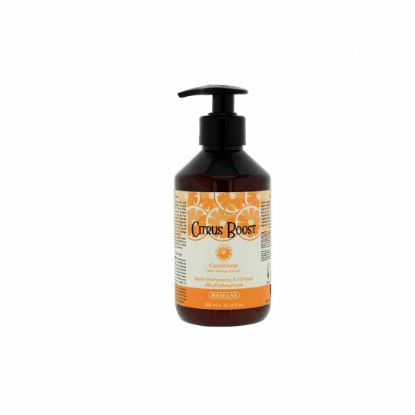 Picture of Citrus Boost - Conditioner