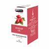 Picture of Herbal Oil 30ml - Rosehip