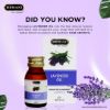 Hemani Herbal Lavender Oil 30ml