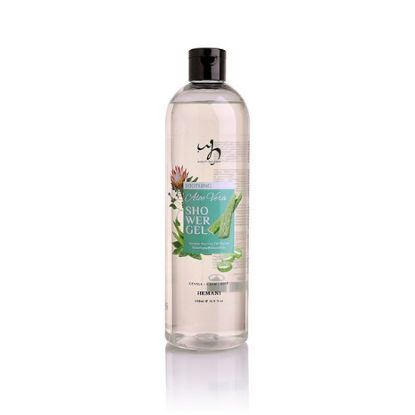 Soothing Aloe Vera Shower Gel 500ml | WB by Hemani 