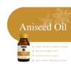 Aniseed Herbal Oil 30ml | Hemani Herbals 