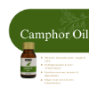 Camphor Herbal Oil 30ml | Hemani Herbals 