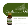 Cardamom Herbal Oil 30ml | Hemani Herbals 