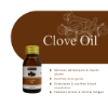 Clove Herbal Oil 30ml | Hemani Herbals 