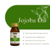 Jojoba Herbal Oil 30ml | Hemani Herbals 