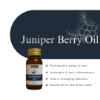 Juniper Berry Herbal Oil 30ml | Hemani Herbals	