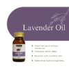 Lavender Herbal Oil 30ml | Hemani Herbals 